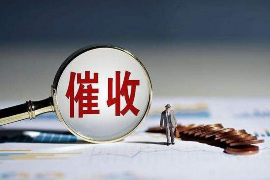 乐陵如何避免债务纠纷？专业追讨公司教您应对之策